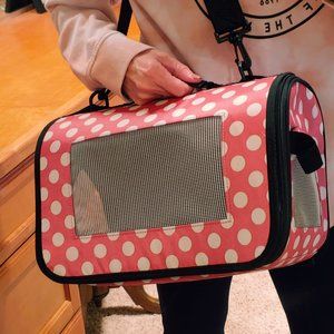 Small Animal Carrier